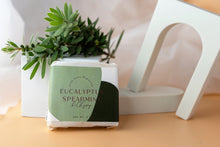 Load image into Gallery viewer, Eucalyptus Spearmint Scented Bar Soap
